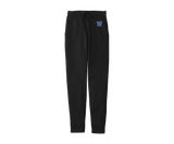 Warriors Sweatpants & Joggers